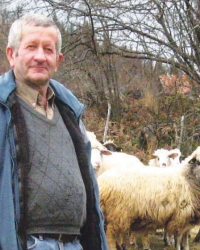 Medved napada u po bela dana: Vitorović