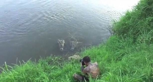 Fotograf je sedeo na obali i držao krokodila