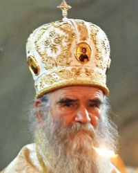 Amfilohije