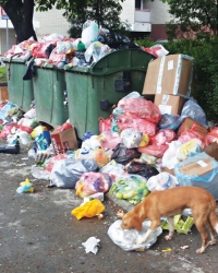 Četiri dana bez higijene