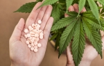Hoće li marihuana biti korišćena u medicinske svrhe?