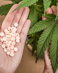 Hoće li marihuana biti korišćena u medicinske svrhe?
