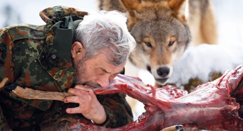 I pored života s  njima, Verner je svestan da je vukove teško pripitomiti | Foto: Reuters