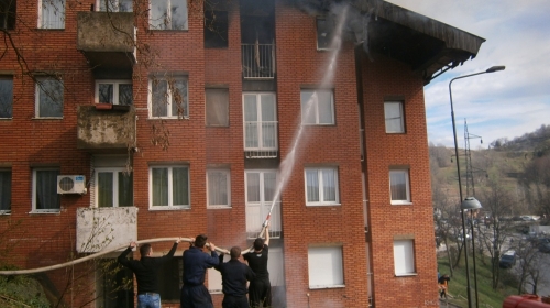 požar Foto: I. Popović