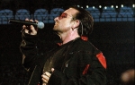 Bono Voks