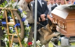 Pas na sahrani