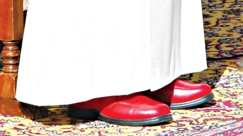 Crvene cipelice