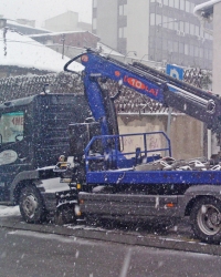 Pauk zaječarskog „Parking servisa“