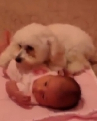 Kuca i beba