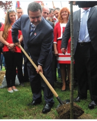 Dačić i lopata