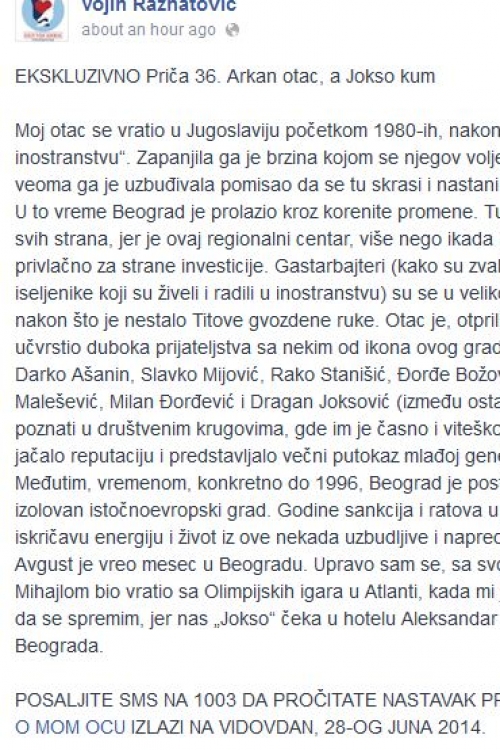 Status Vojina Ražnatovića