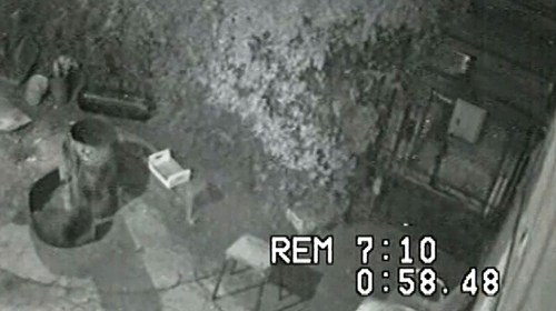 Sigurnosne  kamere na kući  snimile trovača  kako ubacuje  otrovano meso  u dvorište