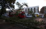 Uragan Sveti Juda / Foto: Reuters