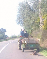 Da li 'e ova dva monstruma uskoro biti identifikovana