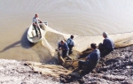 Radnici “Kolubare” koji rade na isušivanju kopa videli su primerke šarana teške preko 10 kilograma
