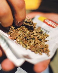 Nema  lakih  droga
