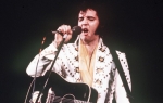 Kralj bine - Elvis Prisli