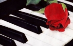 Klavir i ruža, autor Boban Vesić