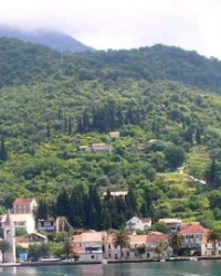 Tivat
