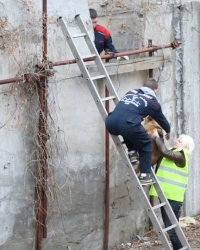 Hrabri volonteri pomogli psu Foto: Udruženje ZOO planet